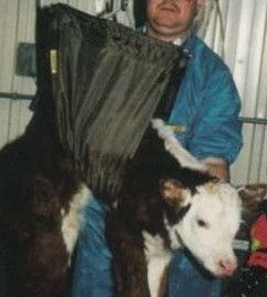 Splasher Calf Scale Sling