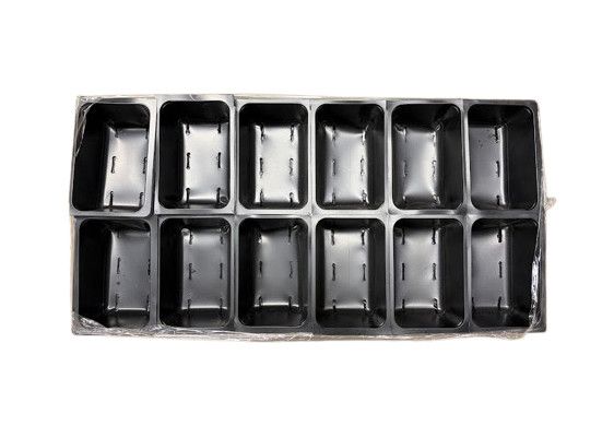 Insert Tray 2X6 12 Cell