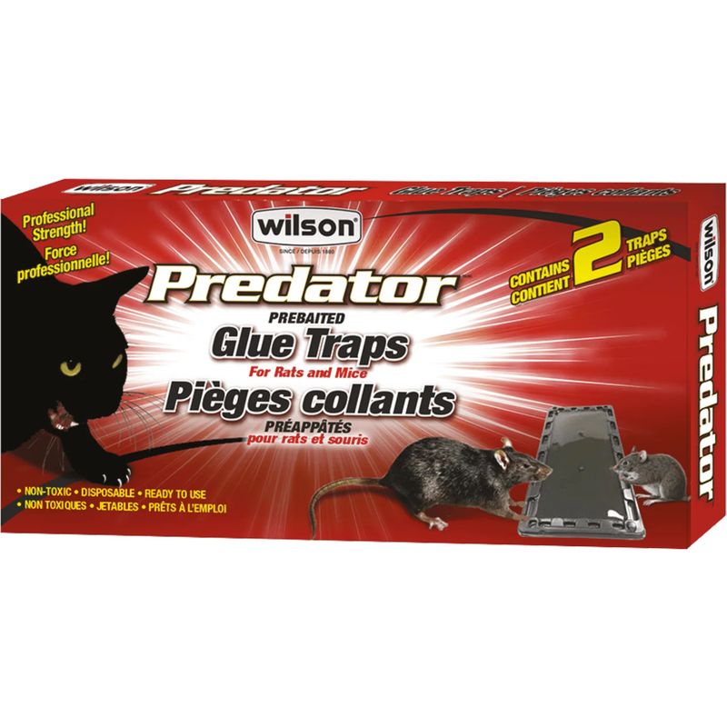 Wilson Predator Rat Glue Trap 2/pk
