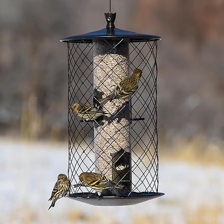 Perky Pet The Preserve Bird Feeder