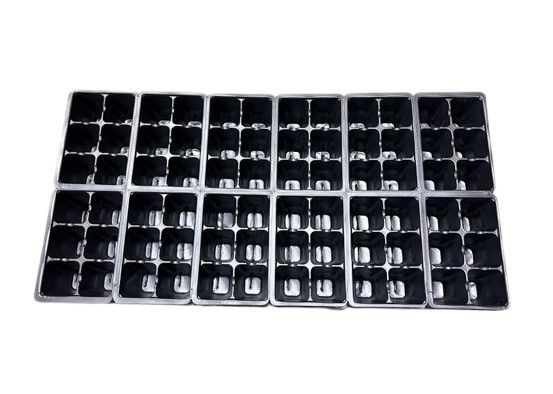 Insert Tray 6x12 72 Cell (1206)