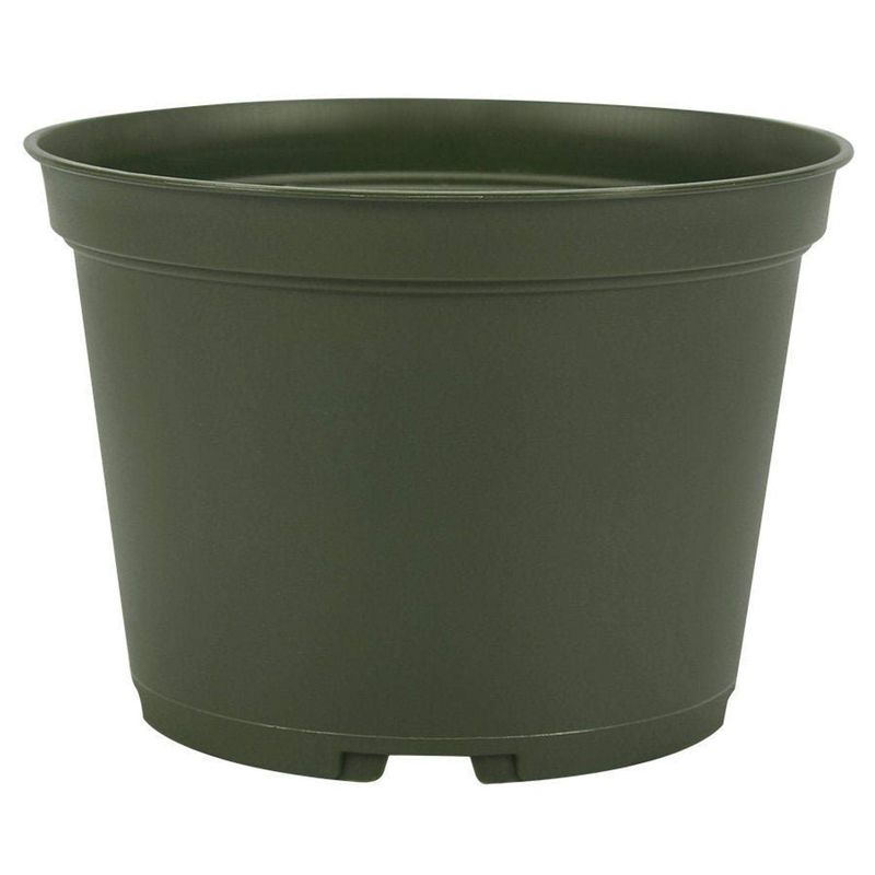 6" Round Azalea Plastic Pot Green