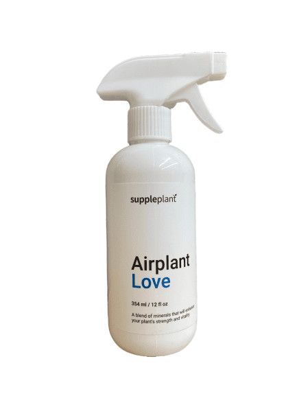 Love Airplant Supplement 12oz^
