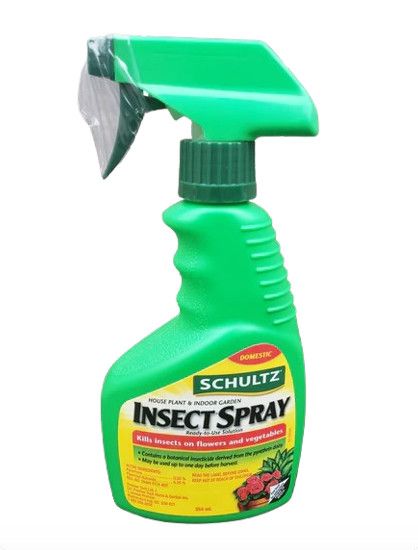 Schultz Houseplant Insect Spray  354ml^