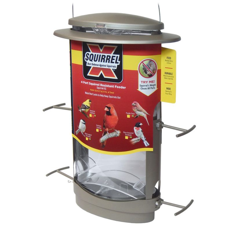 Squirrel X1 Squirrel Resistant Bird Feeder 4LB