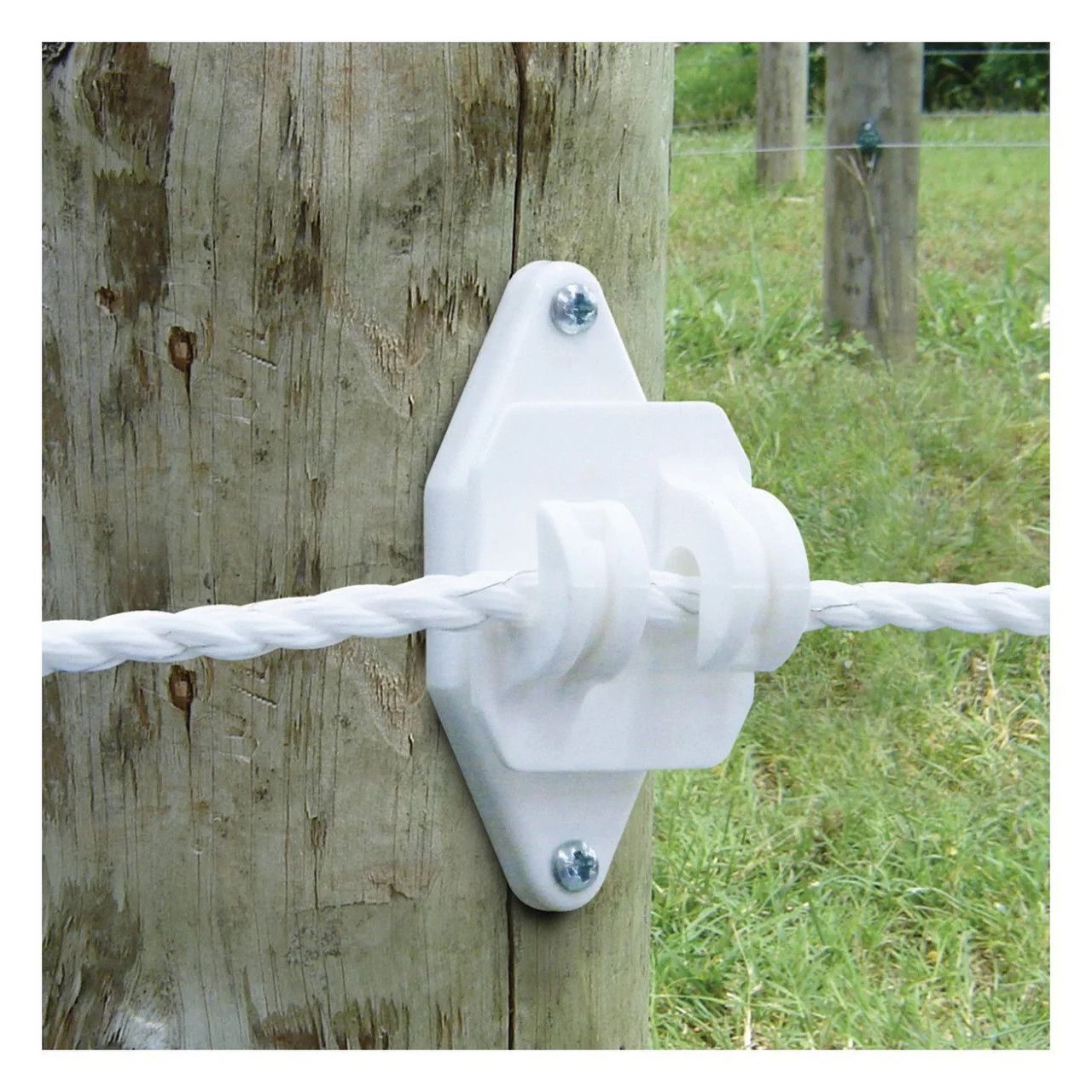 Patriot White Wood Post Claw Insulator 25PK