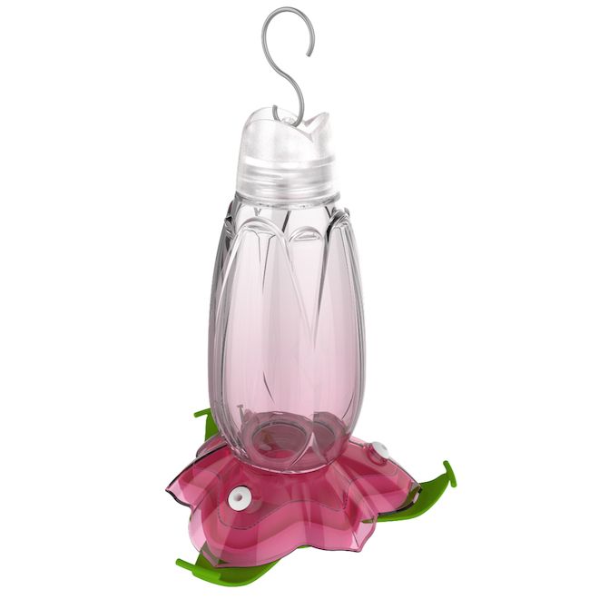 Hummingbird Feeder Purple Floral Glass 18OZ