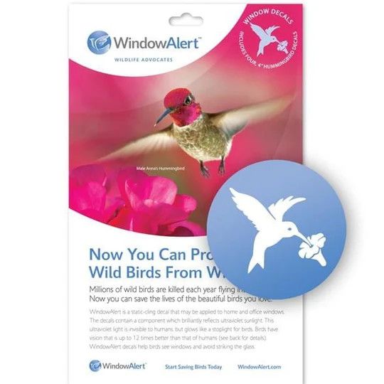 WindowAlert Decals - Hummingbird