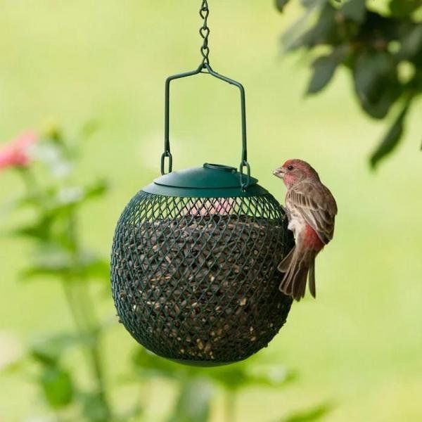 Seed Ball Feeder for Sunflower Seeds