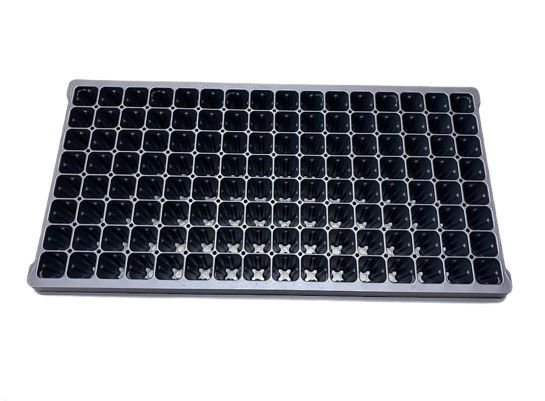 Insert Tray 8x16 128 Cell