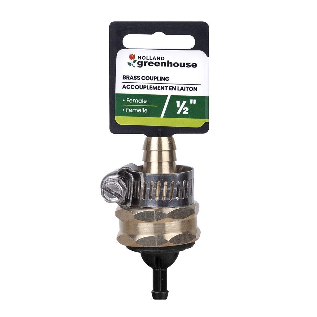 Hose Repair - Brass Female 1/2"