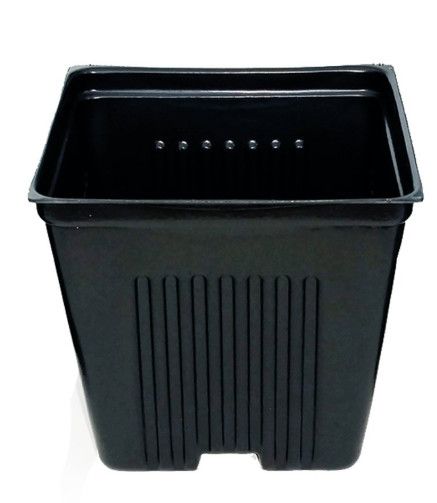 Square Dura Pot Plastic 4" (Gage)