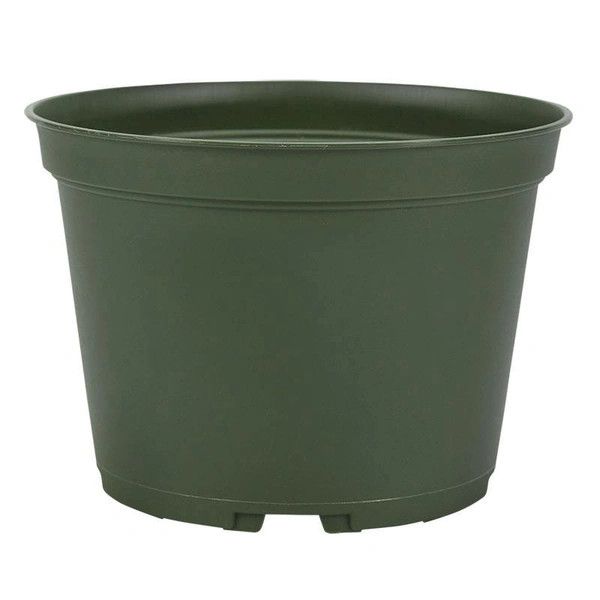 4" Round Azalea Plastic Pot Green