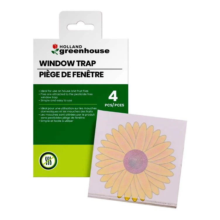Holland Greenhouse Window Fly Trap Sunflower 4 Pack