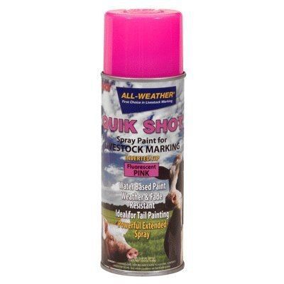 Quik Shot Marking Paint - Pink