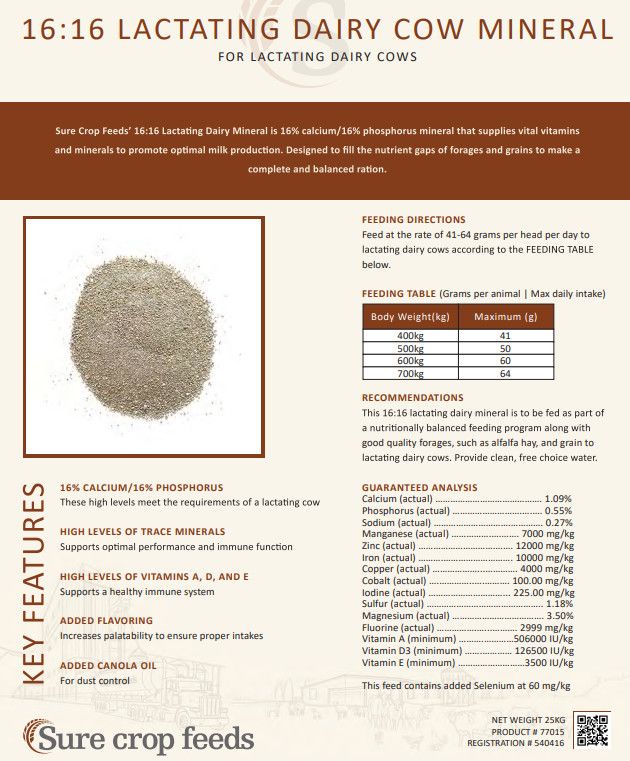 Surecrop 16:16 Lactating Dairy Cow Mineral 25KG