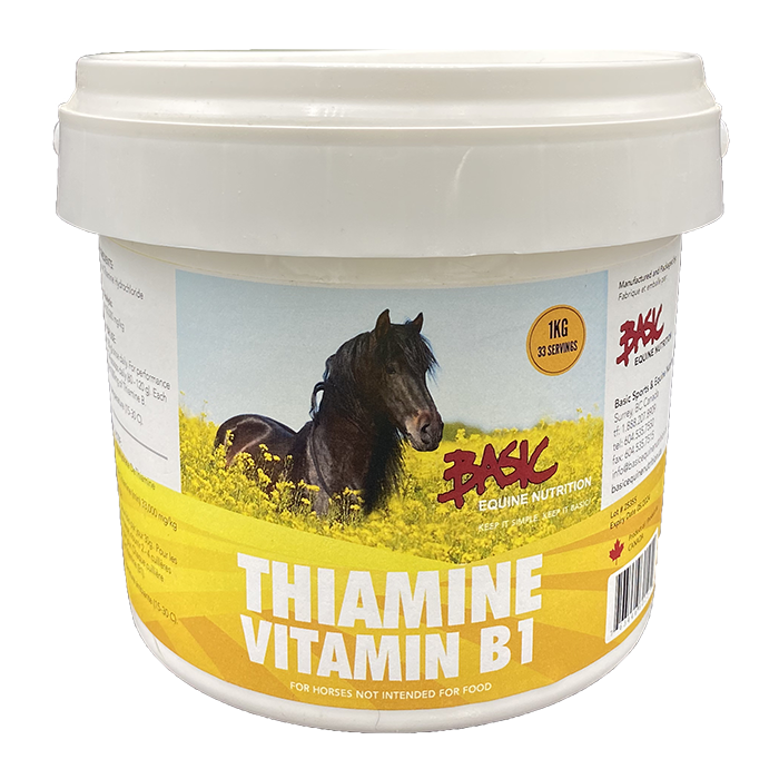 Basic Equine Thiamine 1KG