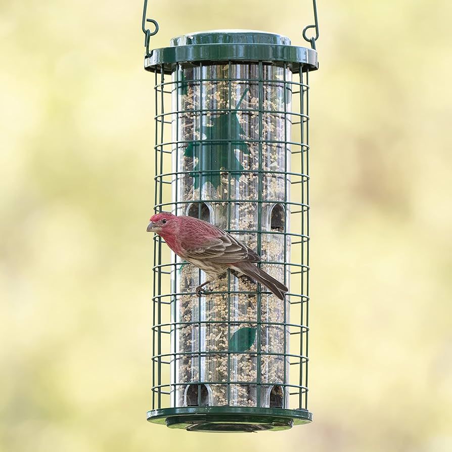 Perky Pet Squirrel Stumper Wild Bird Feeder