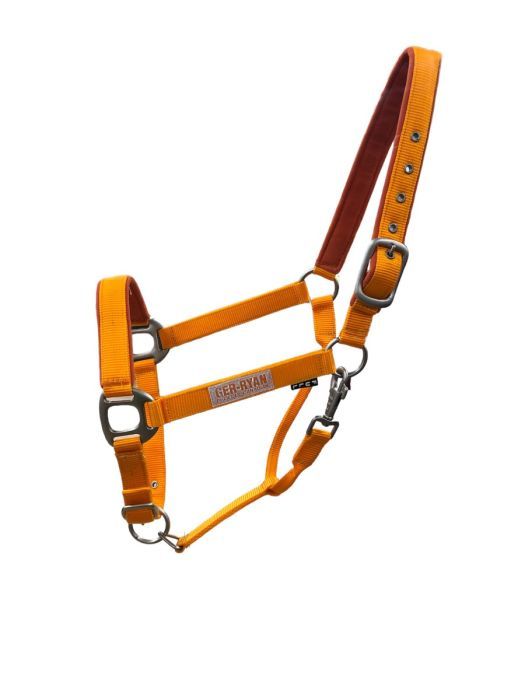Padded Nylon Halter Orange Full