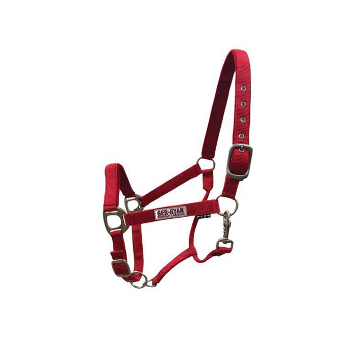 Padded Nylon Halter Raspberry Full