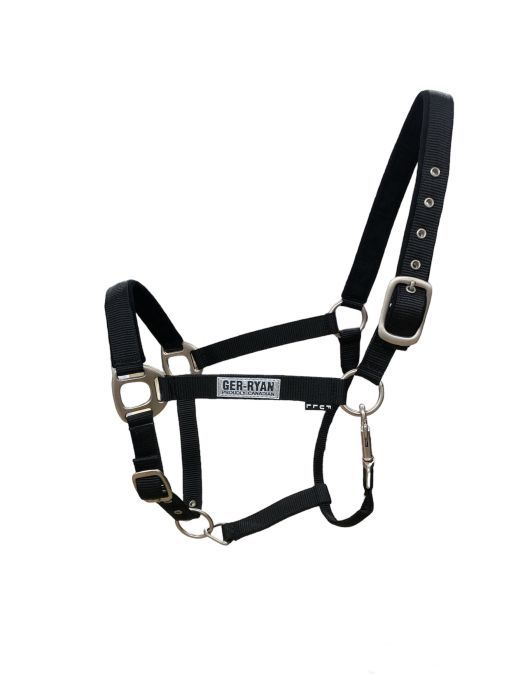 Padded Nylon Halter Black Pony