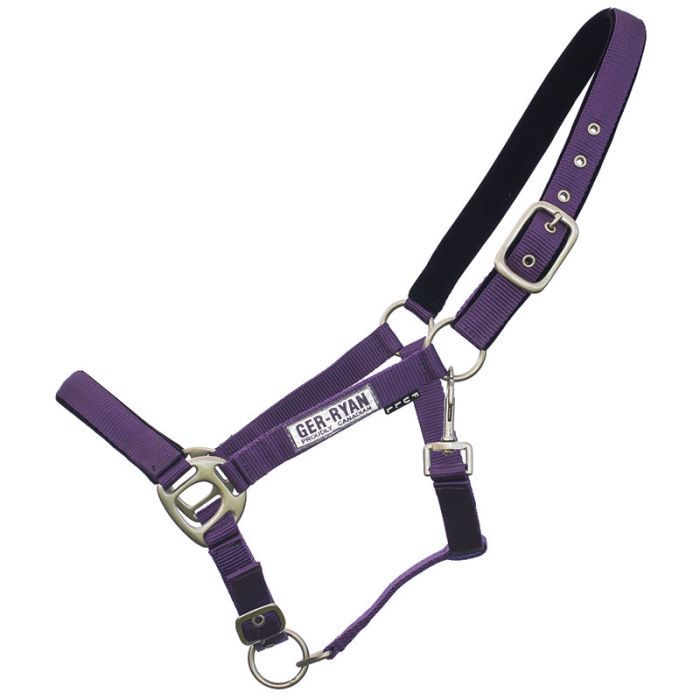 Padded Nylon Halter Purple Pony
