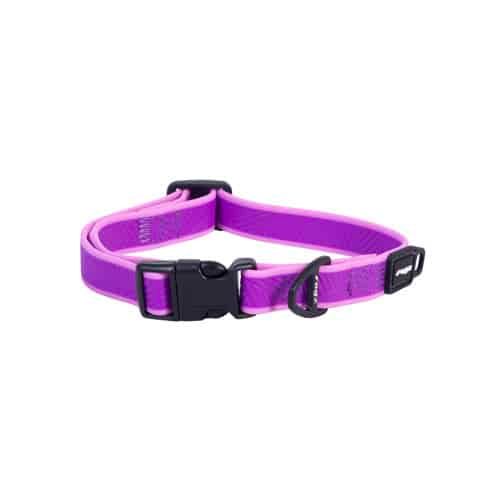 Amphibian Classic Collar Purple Medium