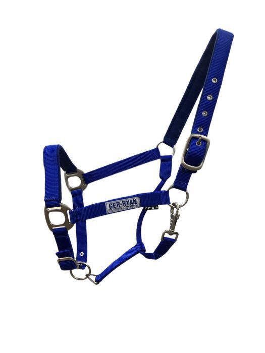 Padded Nylon Halter Royal Blue Cob
