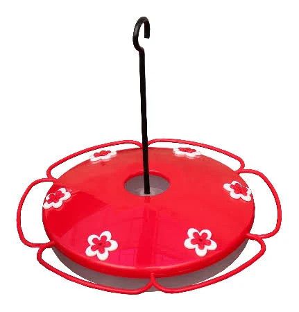 Hummingbird Feeder Pinebush Tray Feeder