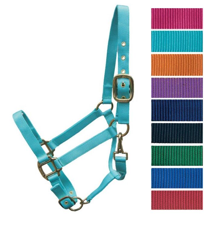 Nylon Adjustable Canadian Horsewear Halter Pony Black