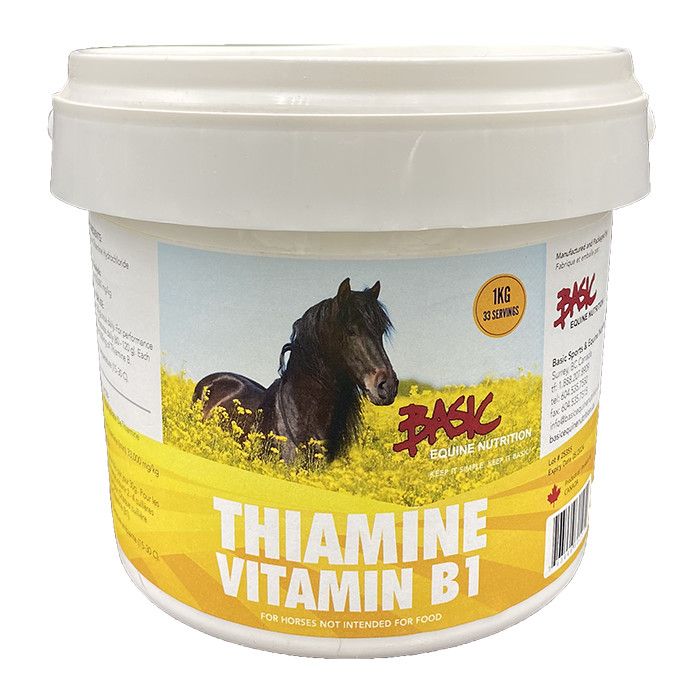 Basic Equine Thiamine 5KG