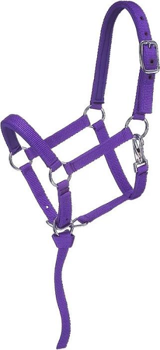 Average Mini Nylon Halter Purple