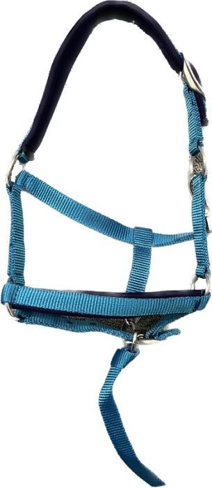 Average Mini Nylon Halter Turquoise