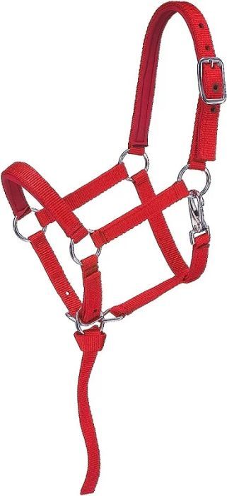 Average Mini Nylon Halter Red