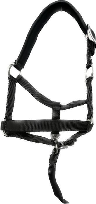 Average Mini Nylon Halter Orange