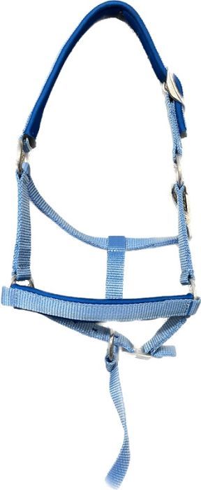 Average Mini Nylon Halter Baby Blue