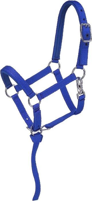 Average Mini Nylon Halter Royal Blue