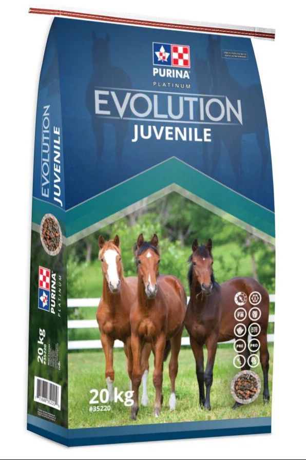 Purina Evolution Juvenile 20KG
