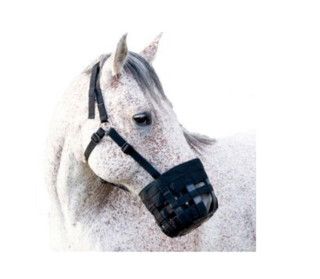 Best Friend Deluxe Grazing Muzzle Pony
