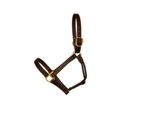 Deluxe Triple Stitched Leather Halter Oversize