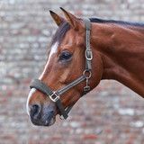 Waldhausen Alcantara Halter Grey Cob