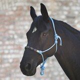 Waldhausen Rope Halter W/ Pearls Azure Blue Pony
