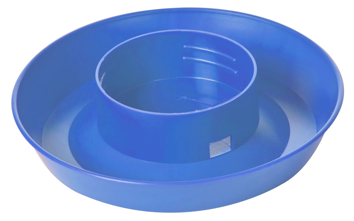 Plastic Poultry Water Base Berry Blue 1 QT