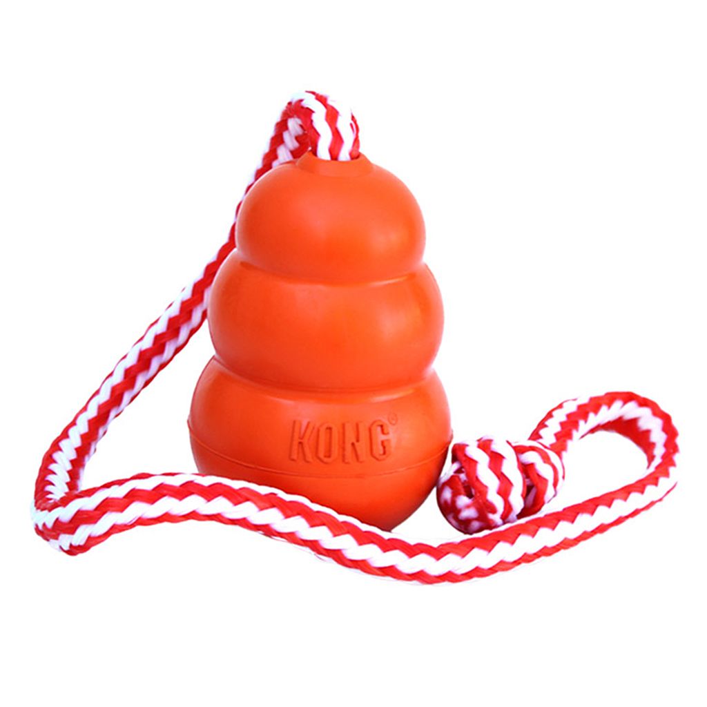 Kong Aqua with Rope Medium~