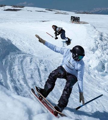 Snowskates