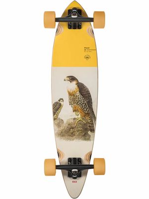 PINTAIL 34&quot; FALCON S22
