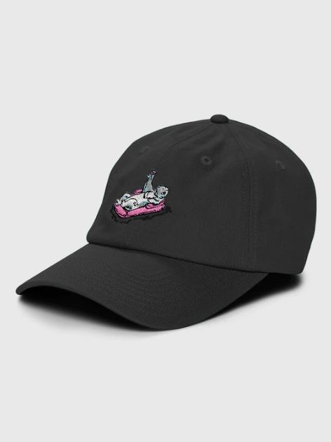 POLAR DIP DAD HAT BLACK S22