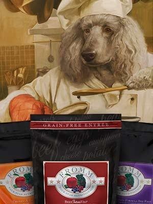 Fromm Dog - Four Star Grain Free