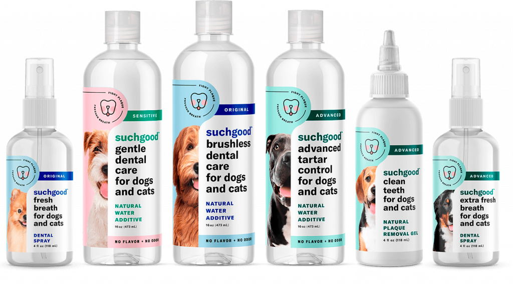 Suchgood Dental