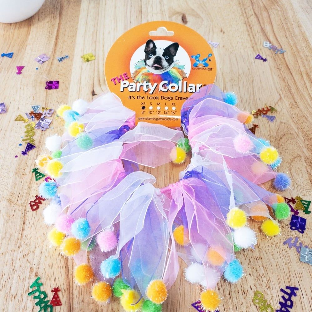 Birthday Multi-Pom Pom Party Collar Purple Pink &amp; White